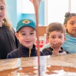 1 Hour Chocolate Bar Class in Jacksonville - What Travelers Say and What to Expect