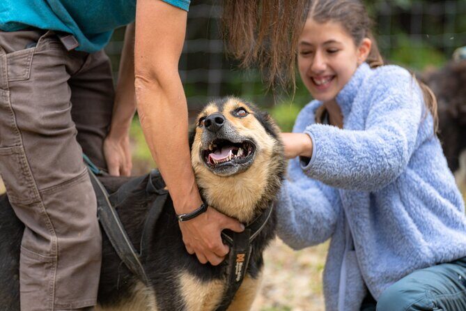 1 Hour Fall Sled Dog Experience in Two Rivers - What Sets This Tour Apart