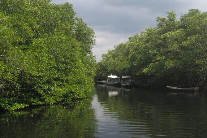 1 Hour Mangrove Tour From Lembongan with Kayak, Paddle, or Boat - Authenticity and Educational Aspects