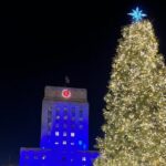 1 Hour Private Christmas Lights Tour in Houston - Houston’s Christmas Lights Tour: A Bright, Brief Holiday Adventure