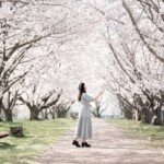 1 Hour Private Photoshoot in Osaka - Why This Photographic Experience Delivers Value
