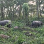 1 Night 2 Days Chitwan Jungle Safari Tour from Kathmandu - What’s Included and What’s Not