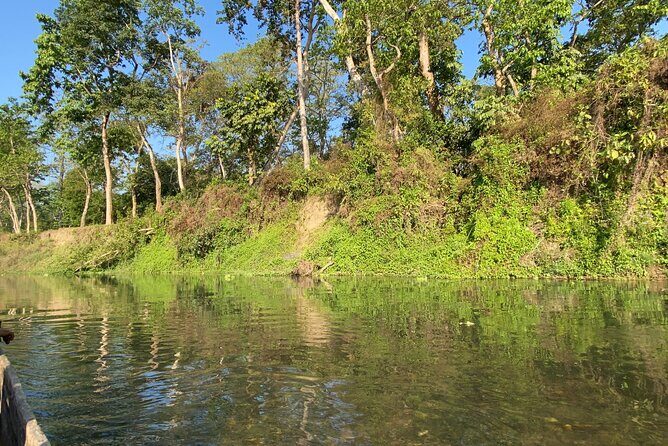1 Night 2 Days Chitwan Jungle Safari Tour - Final Thoughts