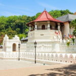 10 Days/ 9 Nights - Heritage Wildlife and Waves in Sri Lanka - Price and Value Analysis
