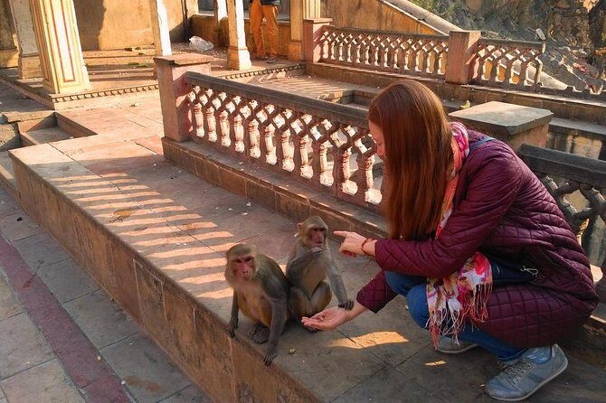10-Days Rajasthan & Agra tour from Delhi Includes Hotels,Transportations & Guide - Transportation & Accommodation