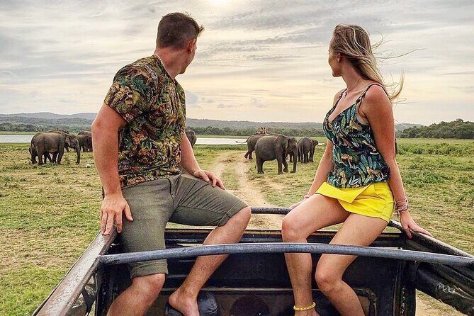 10 Days Sri Lanka Private Tours H/B accommodations - What Makes This Tour Stand Out