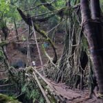 10D/9N Assam-Meghalaya-Arunachal pradesh - A Deep Dive into the Itinerary and Experiences