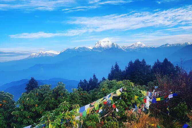 11-Day Hike Tour to Annapurna Base Camp Bliss in Kathmandu - In-Depth Breakdown of the Itinerary