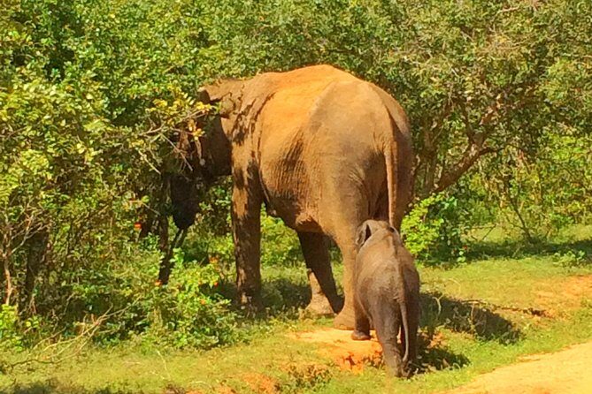 12 Day Explore Sri Lanka - Practicalities and Considerations