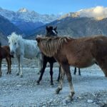 12 Days Overland Tour to Upper Mustang - Who will love this tour?