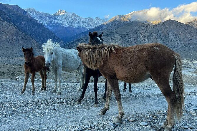 12 Days Overland Tour to Upper Mustang - Who will love this tour?