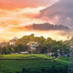 12 Hours Private Munnar Tour from Kochi - FAQ