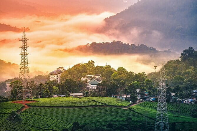 12 Hours Private Munnar Tour from Kochi - FAQ