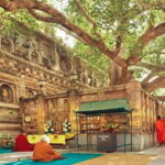 15 Days - Golden Triangle Tour with Buddhist Circuit - Final Thoughts: Who Will Love This Tour?