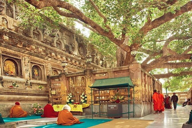 15 Days - Golden Triangle Tour with Buddhist Circuit - Final Thoughts: Who Will Love This Tour?