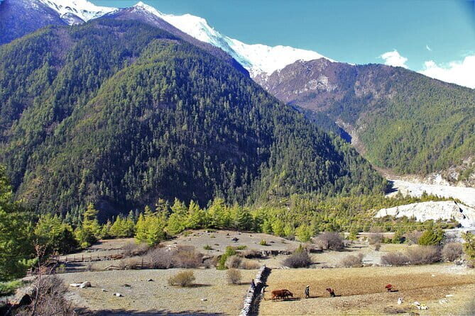15 Days Round Annapurna Trek with Poon Hill from Pokhara - Considerations and Tips
