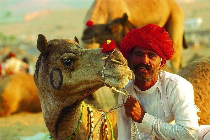16-Days Rajasthan Tour with Agra from Delhi by,Includes,Guide,Hotels,A-C Vehicle - FAQs