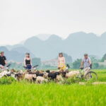 17-Day Vietnam Tour | Explore the Best Highlights of Vietnam - FAQ