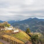 1D Tour to Cingjing Farm from Taichung - Who is This Tour Best Suited For?