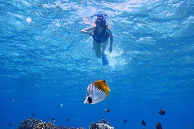 1day kayak tour in Kerama Islands and Zamami Island - Final Thoughts: Why It’s a Great Choice