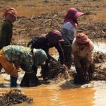 1day Private tour, Angkor sunrise,all main temples, Banteay srei - The Practicalities: What to Expect