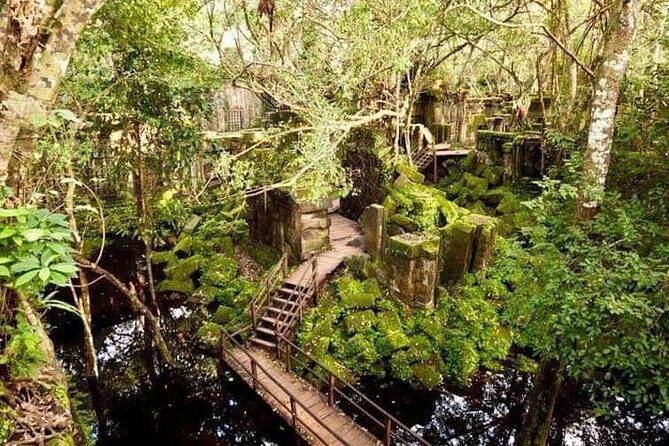 2-Day Angkor Sunrise Temple of Angkor -Siem Reap Tour - Day 2: Sunrise, Majestic Citadels, and Jungle Temples
