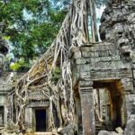 2-Day Best of Angkor Wat and Tonle Sap Lake Tour - The Jungle Enigma: Ta Prohm
