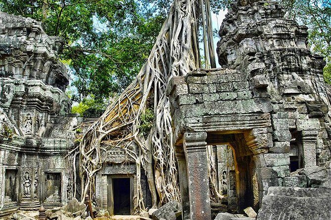 2-Day Best of Angkor Wat and Tonle Sap Lake Tour - The Jungle Enigma: Ta Prohm