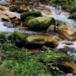 2-Day Best Of Zhangjiajie-Avatar World & Tianmen Mountain Tour - An In-Depth Look at the 2-Day Zhangjiajie Tour