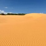 2 Day Car Tour Excursion Dalat and Mui Ne (Minimum 4 guest) - Authentic Experiences and Hidden Gems