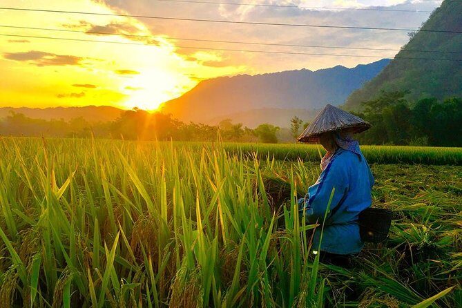 2-Day Mai Chau Valley Tour from Hanoi - Who Is This Tour Best For?