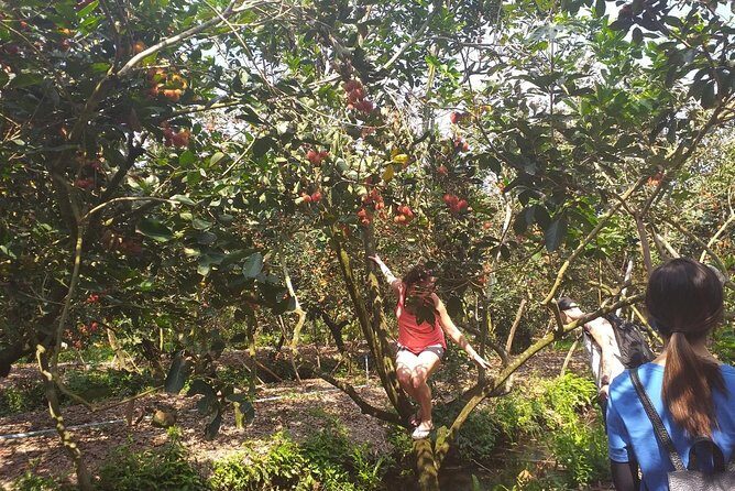2-Day Mekong Delta with Cai Cang Floating Market from HCM City - Transportation, Group Size, and Overall Comfort