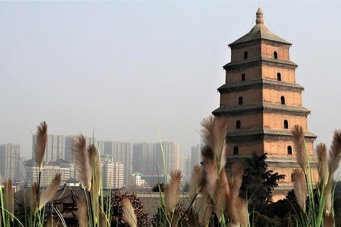 2-Day Private Classic Xi'an City Tour from Beijing by Bullet Train - Transportation and Logistics: Making It Easy