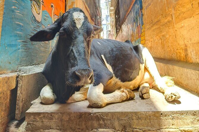2 Day Private Mystical Varanasi Tour - Day Two: Exploring More Spiritual and Artistic Gems