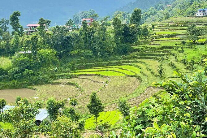 2-Day Private Trekking Tour to Australian Camp & Dhampus - What’s Included & What to Consider