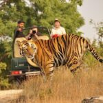 2-Day Ranthambore National Park Tour From Jaipur - Key Points