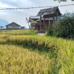 2-Day Sapa Guided Tour Slipping in Homestay From Hanoi - Traveling to Sapa: A Scenic Ride