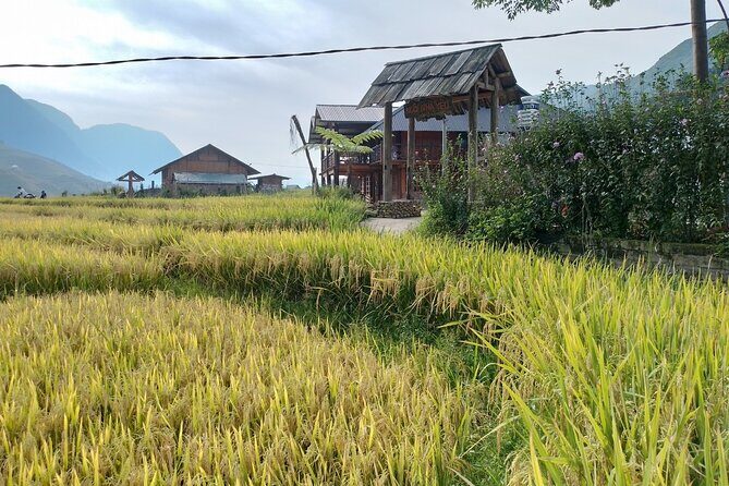 2-Day Sapa Guided Tour Slipping in Homestay From Hanoi - Traveling to Sapa: A Scenic Ride