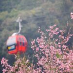 2-Day Sun Moon Lake Private Tour from Taipei - The Experience: What Really Stands Out