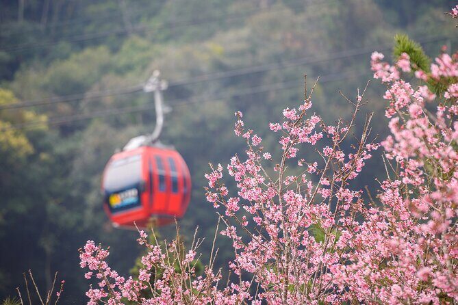 2-Day Sun Moon Lake Private Tour from Taipei - The Experience: What Really Stands Out