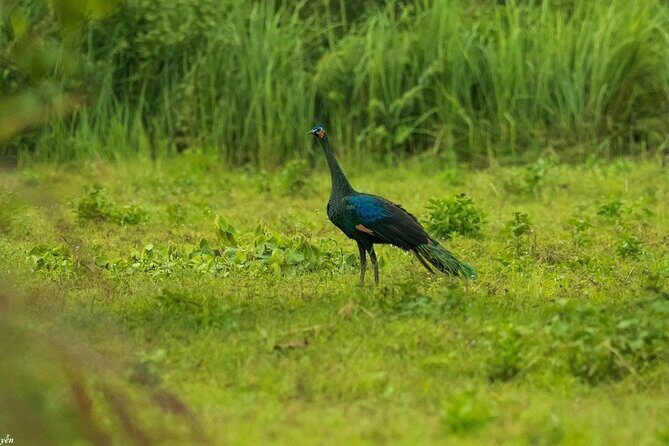 2-Day Trekking & Biking Nam Cat Tien National Park from HCM City - What’s Included and What to Consider