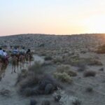 2 Days-1 Night Camel Tour - Who Is This Tour Best For?