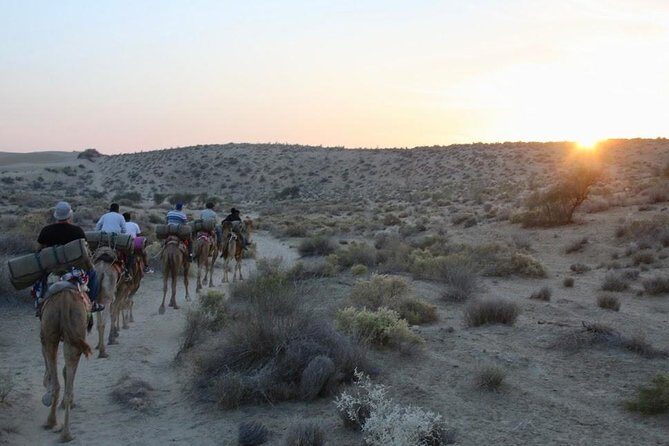 2 Days-1 Night Camel Tour - Who Is This Tour Best For?