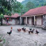2 Days 1 Night Luxury Ninh Binh Private Tour from Hanoi - Pricing & Value