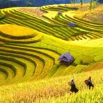2 Days 1 night Sapa Tour from Hanoi by Limousine/Sleeper bus - Analyzing the Value