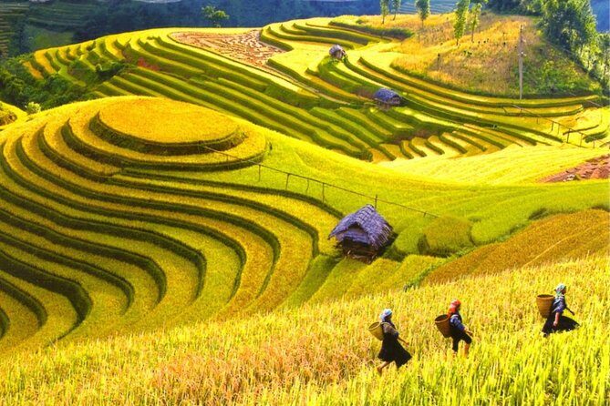 2 Days 1 night Sapa Tour from Hanoi by Limousine/Sleeper bus - Analyzing the Value