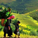 2 days - 1 night trekking Sapa tours from Hanoi - Who Should Consider This Tour?