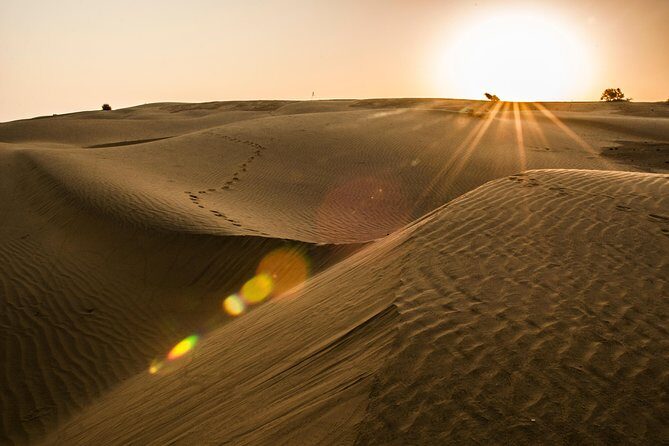 2 Days and 1 Night Camel Safari - Visiting Remote Villages