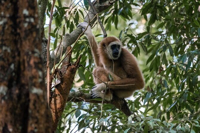 2 Days Ethical Jungle Trek in Sumatra - The Itinerary Breakdown