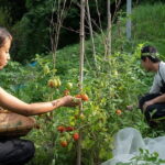 2-Days Private Tour in Izumo, Japan - The Sum Up